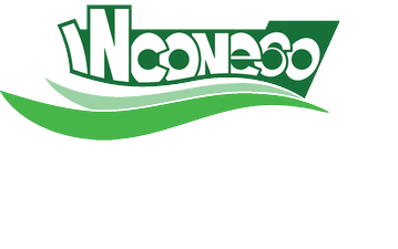 Incone600